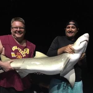 Meet your Posher, Todd